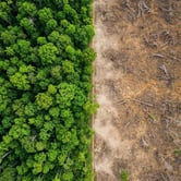 What Is the Difference Between Spend-Based and Activity-Based Carbon Accounting?
