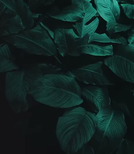 sustainability-540