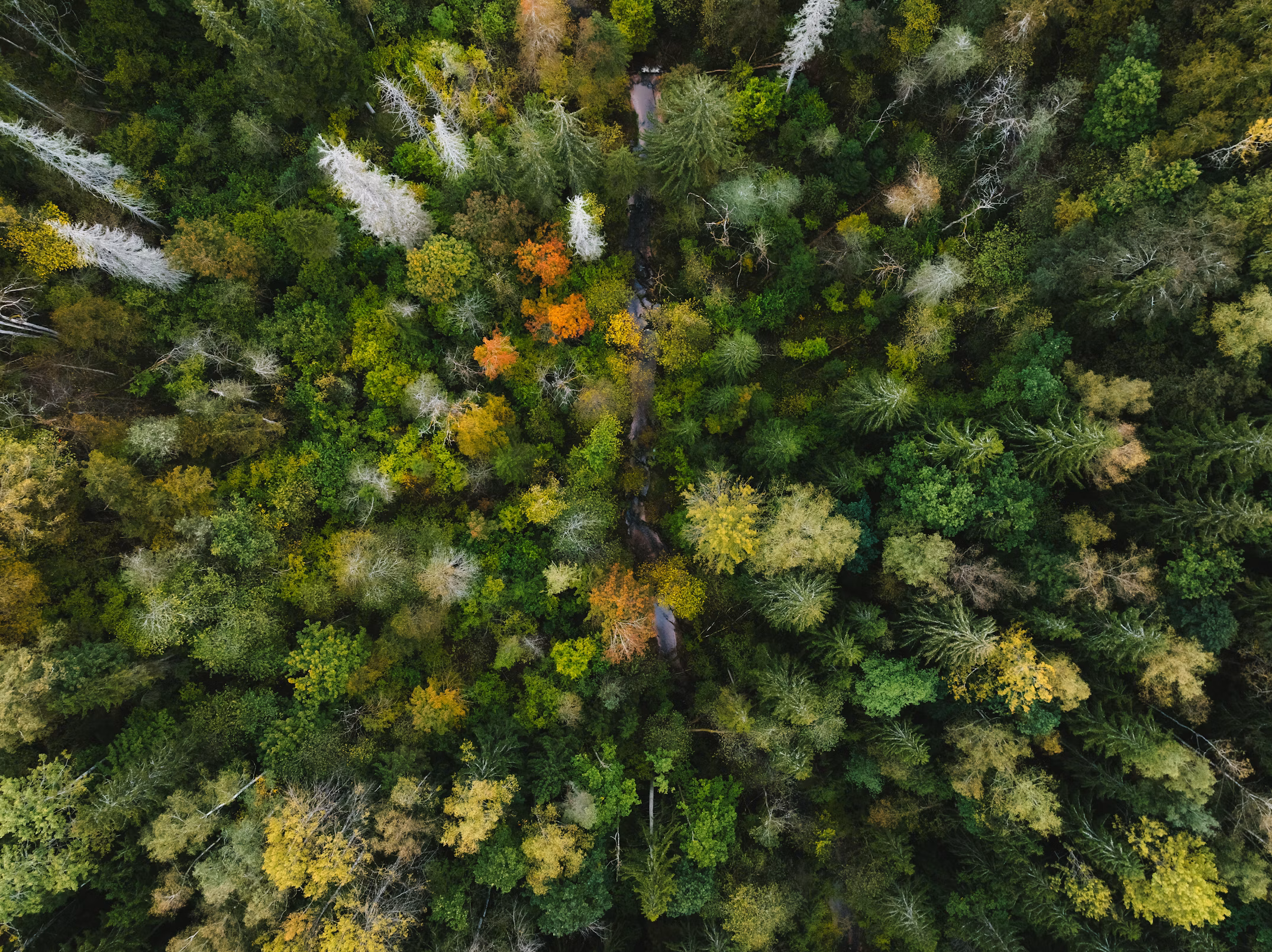 60% of a corporate carbon footprint sits in ten emission sources